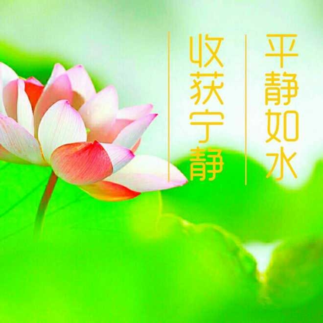 佛言佛语