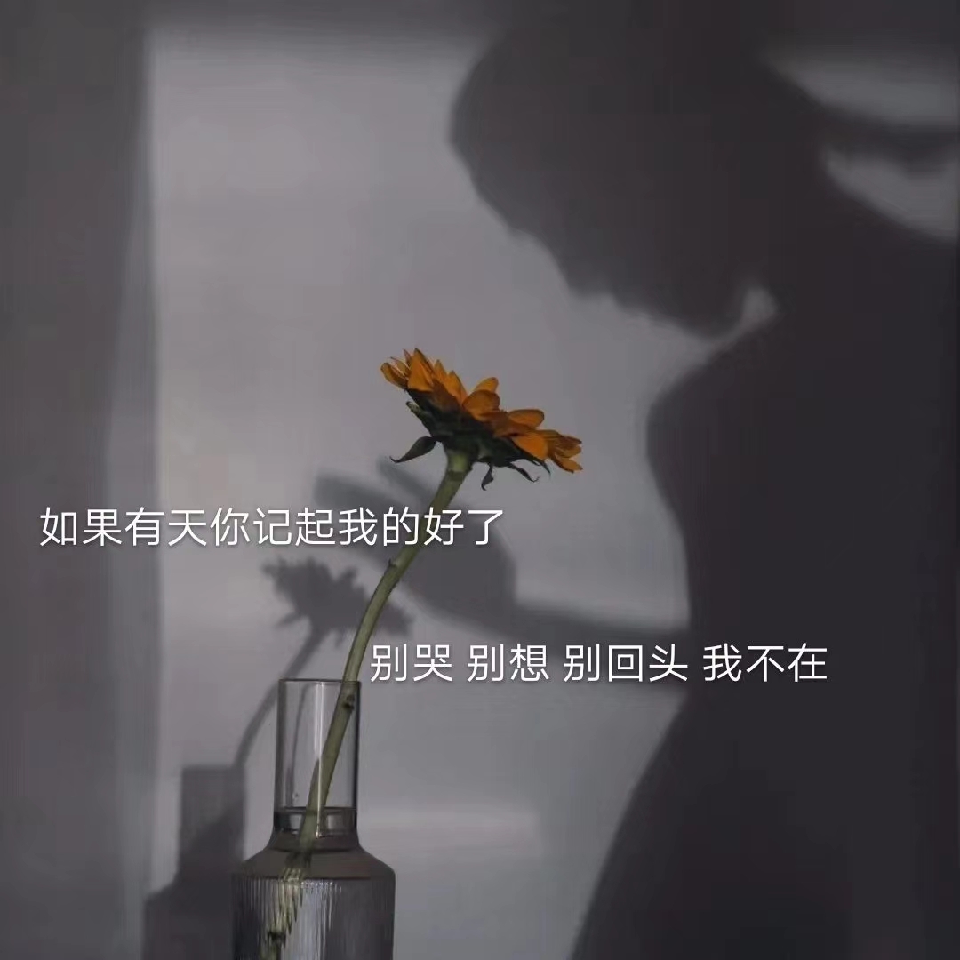 【一个人彻底死心是怎样的？】〖一禅语录〗 - 哔哩哔哩