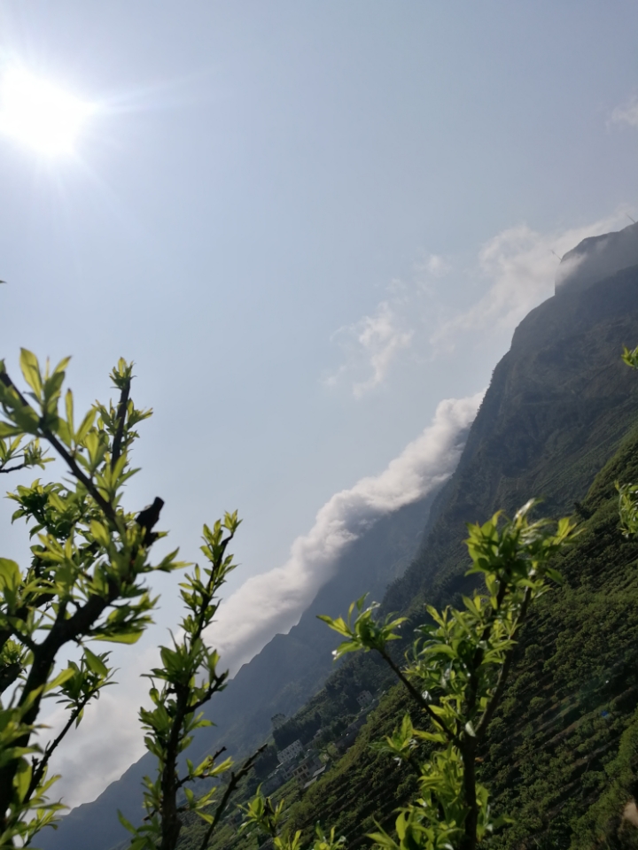 大山里的景色