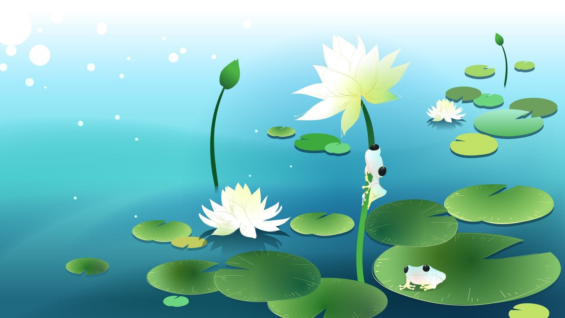 【p9墙纸】我跟荷花有个约定 - 华为p9系列主题美化 花粉俱乐部