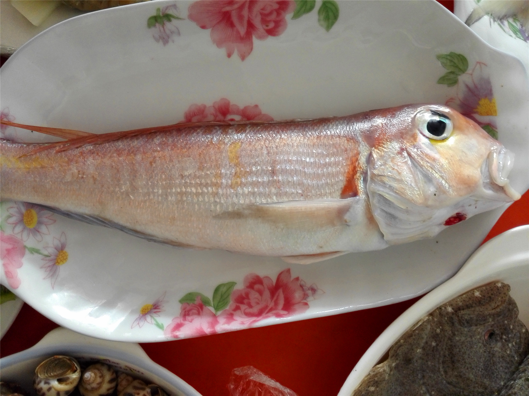 【兴趣态度】国庆游记-吕四海鲜