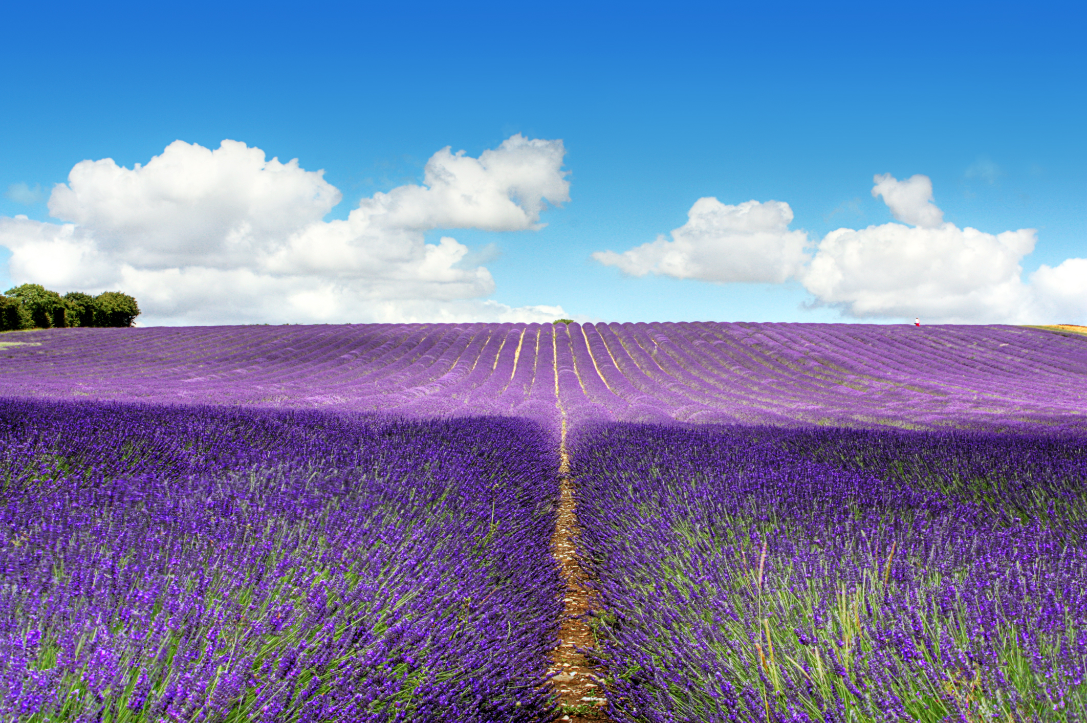 mate手机自带壁纸,误删的同学有福了