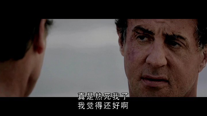 2013史泰龙最新动作大片【金蝉脱壳】国英双