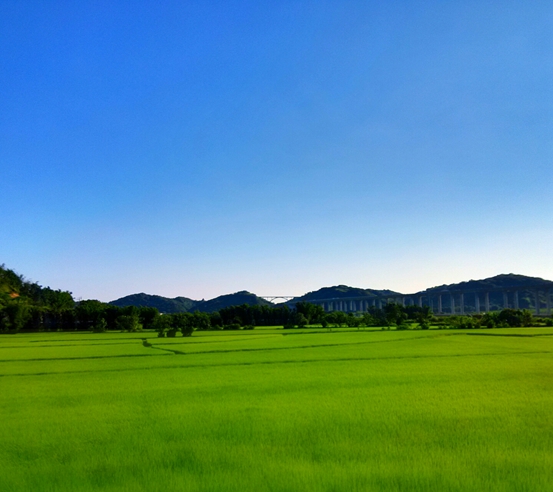 华为ascend p7 精美壁纸——第六期