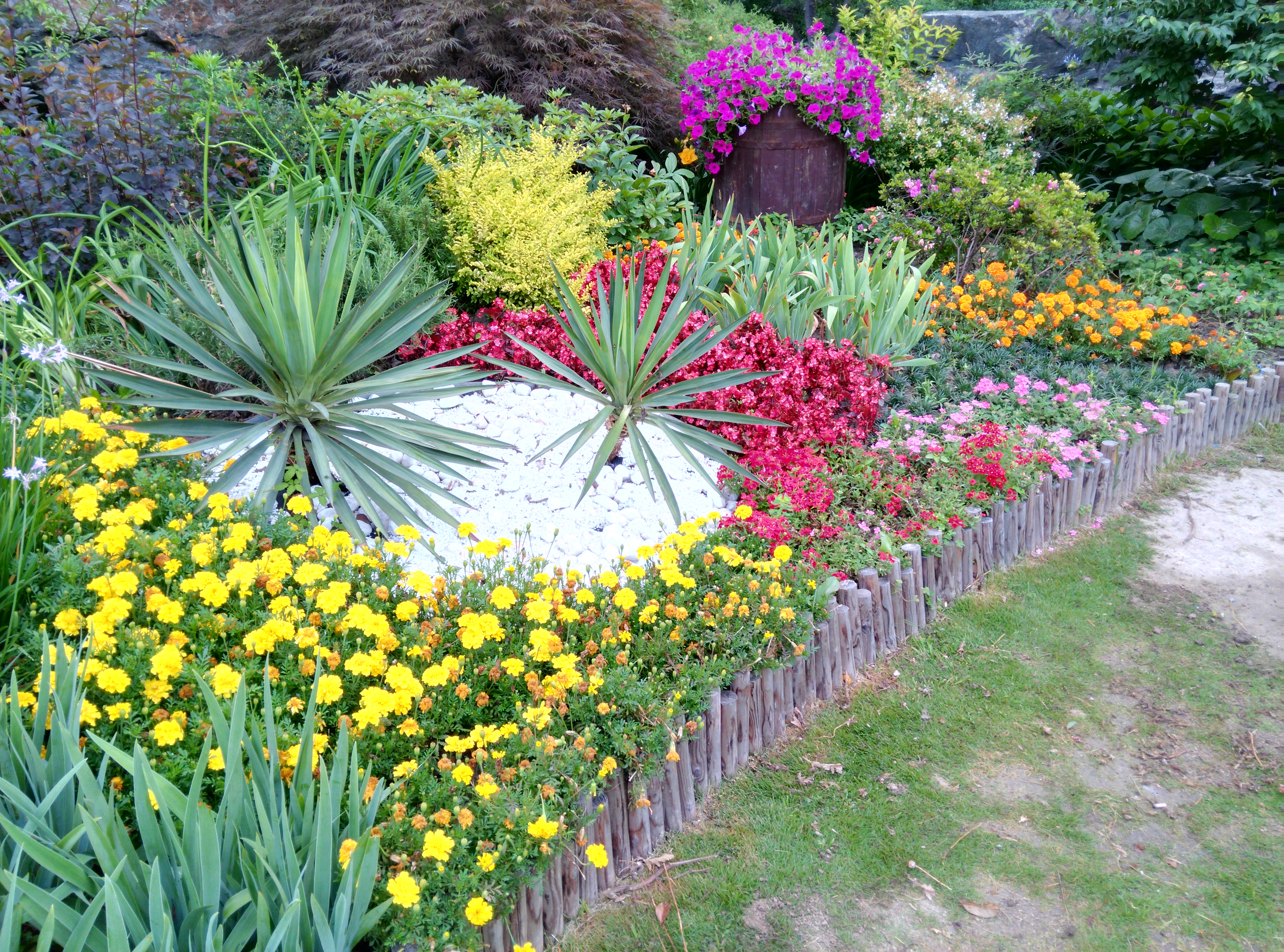 一些b199拍的照片 - 华为b199评测分享 花粉俱乐部
