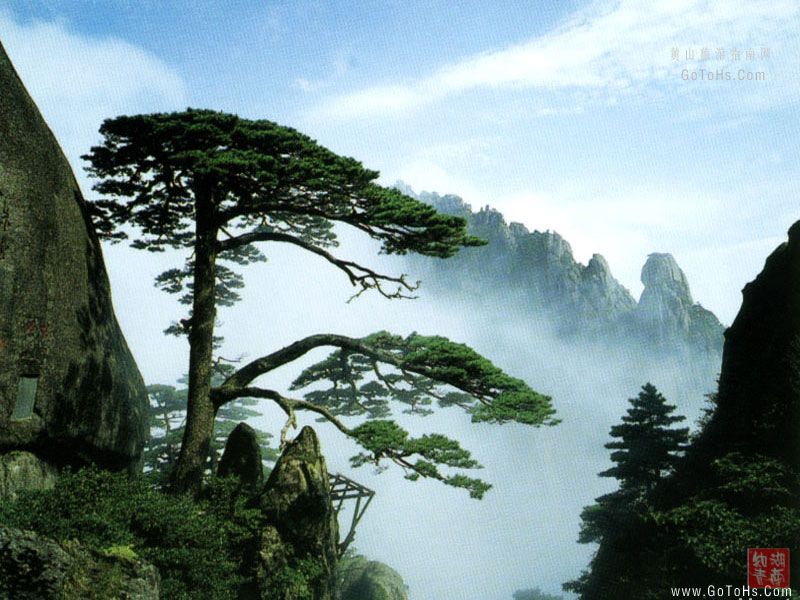 为什么华为swype输入法在微信里不能回车键发送信息,烦恼