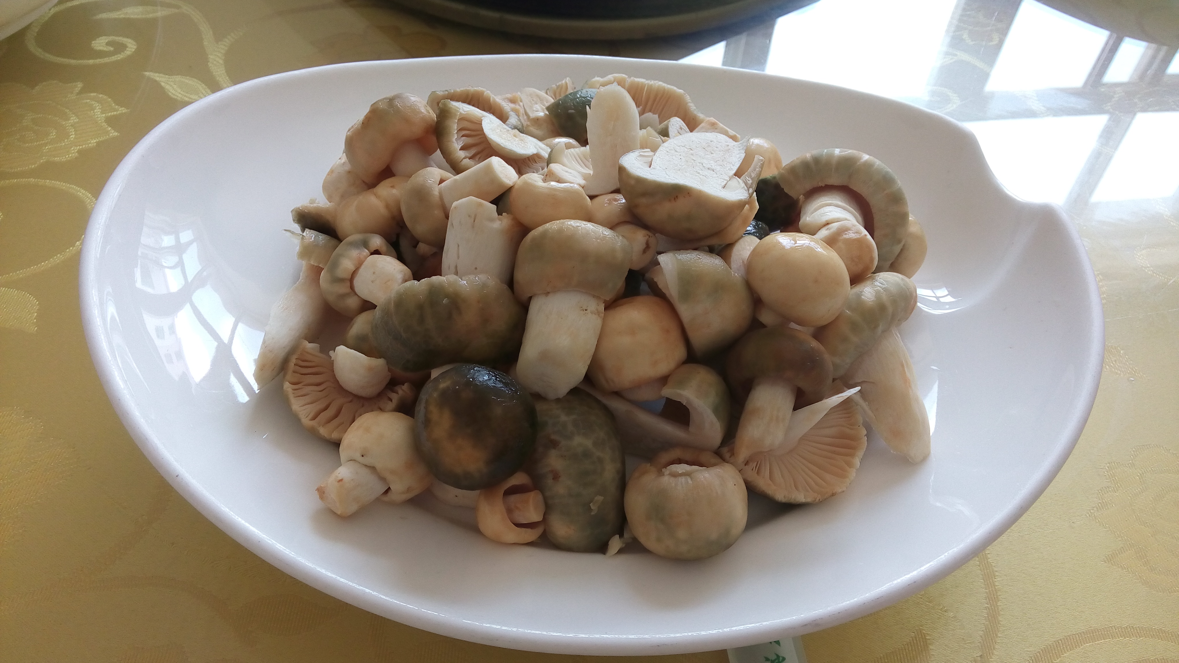 云南野生青头菌