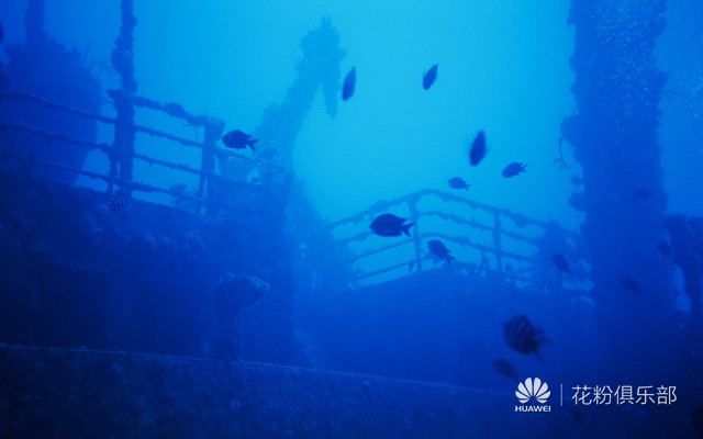 海洋遗迹| 8P 【分辨率1920x1080 】