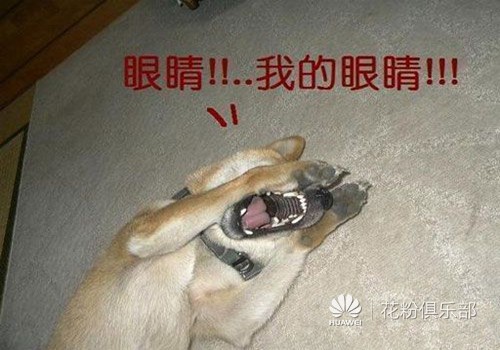 轻轻松松一招解决手机卡顿问题