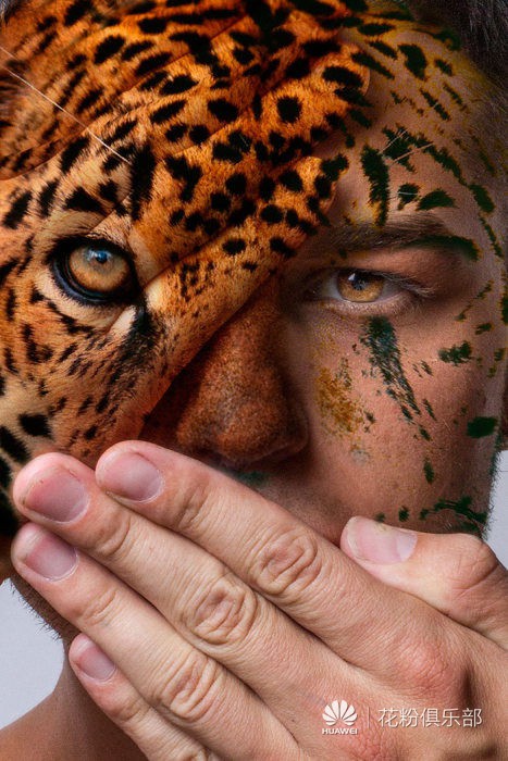 把人脸和动物脸长在一起,将会是这样.