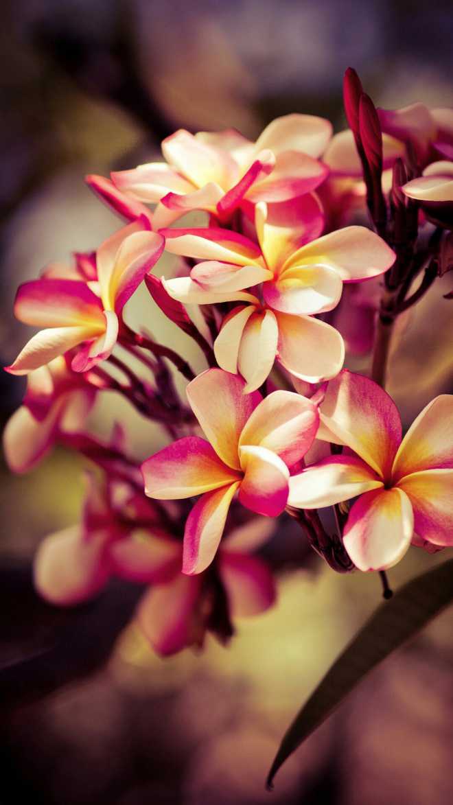 杂志锁屏的图片,谁有