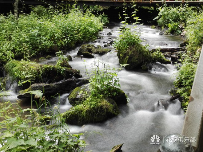 提示信息 花粉俱乐部