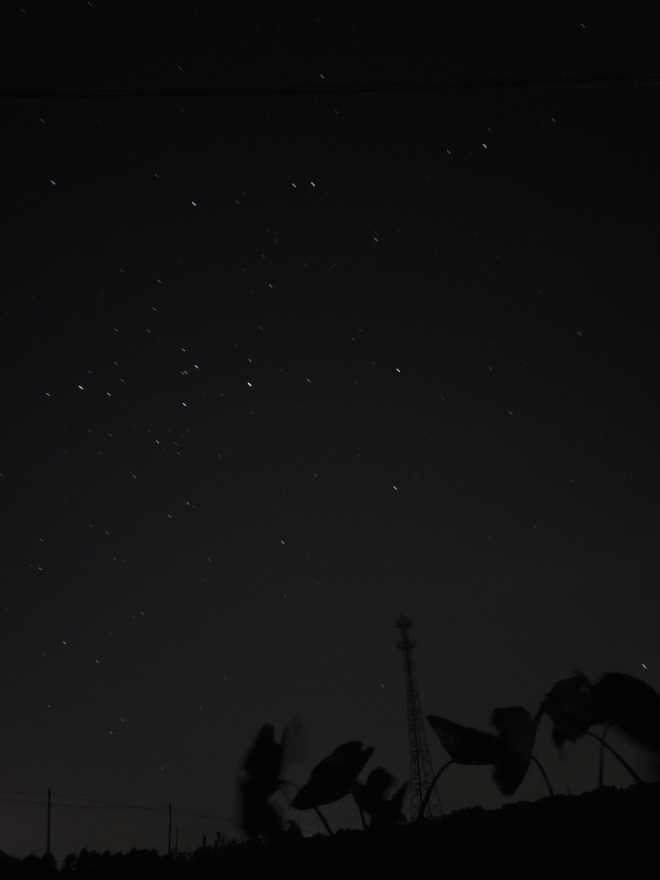 最美学校星空照 190409q6szx8sxq2s2m280.jpg