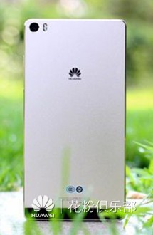 154646maxbjl55qtqfvx7i.jpg