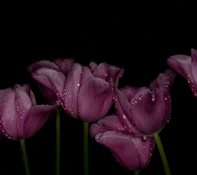 水墨屏手机壁纸(不隐藏不骗回帖)