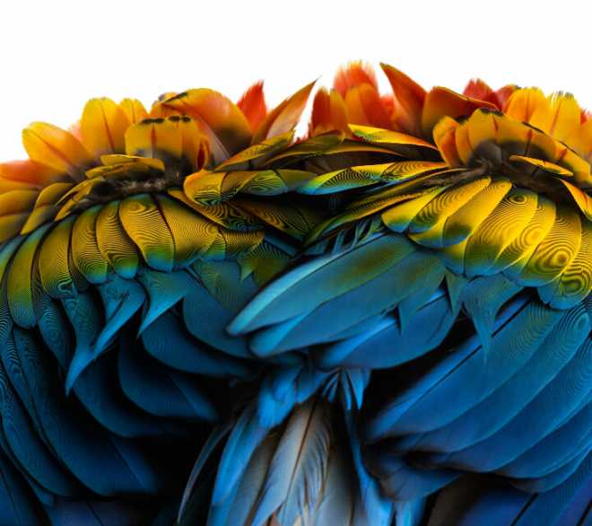 水墨屏手机壁纸(不隐藏不骗回帖)