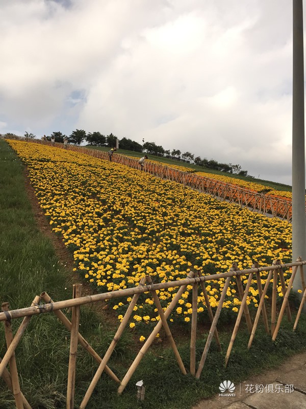 这个小火车头也是让人忍不住要合影的一景啊