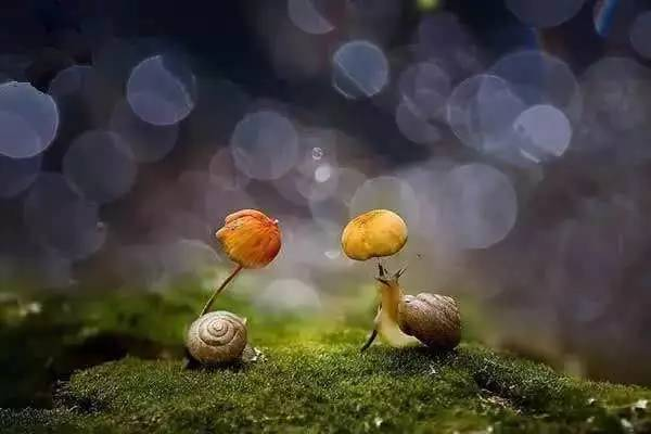 一人一顶蘑菇伞,是不是超可爱呢?