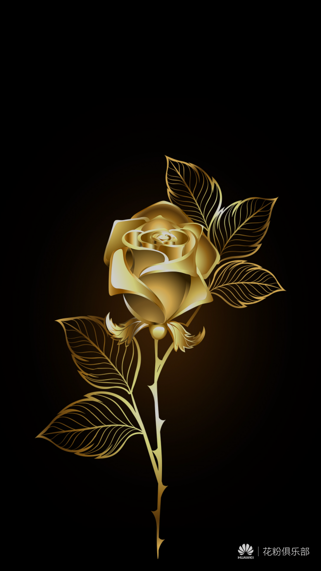(主题壁纸分享)大家要的金色玫瑰壁纸来了