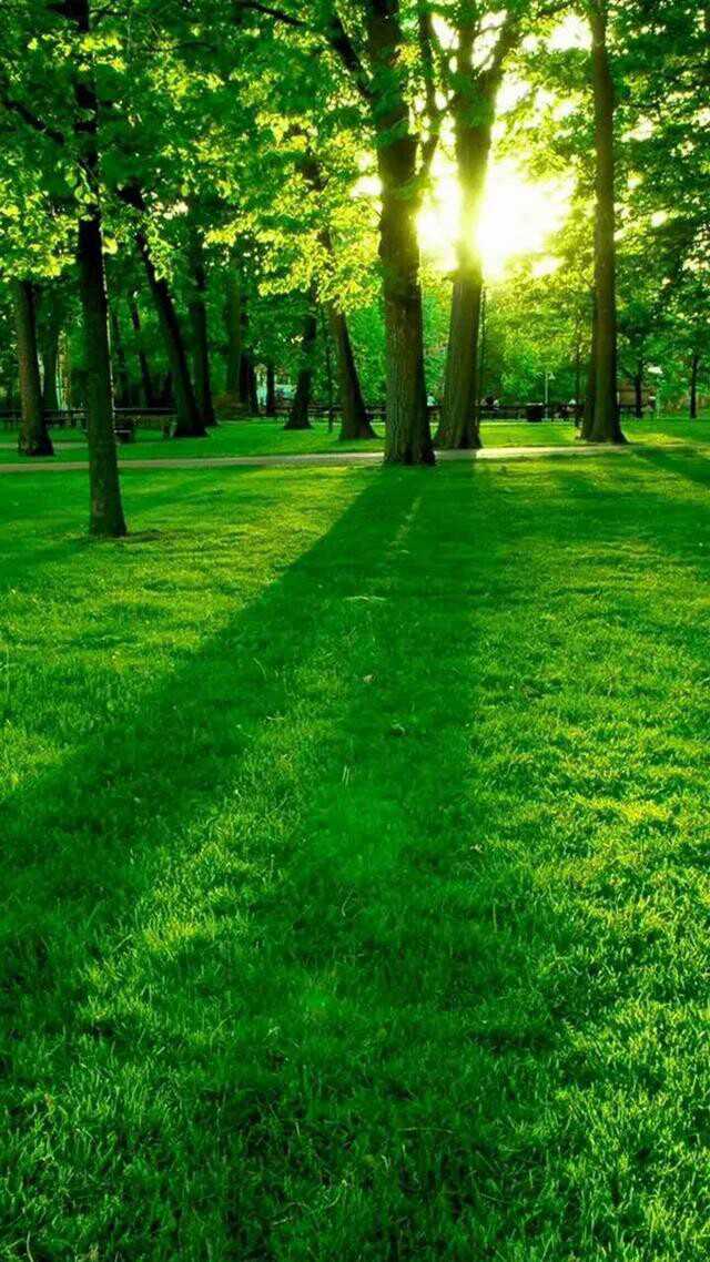 /storage/0000-0000/news_article/0d61a53