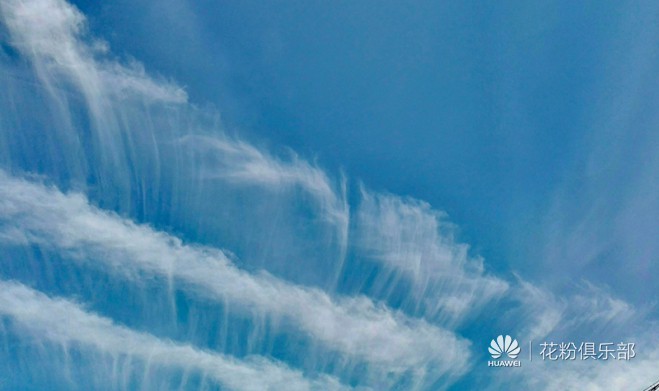 胆小是懦弱?敏感?胆小到底是什么?其实,胆小是