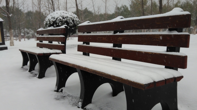 #一起走过的日子#+与荣耀一起梦想看雪看电影