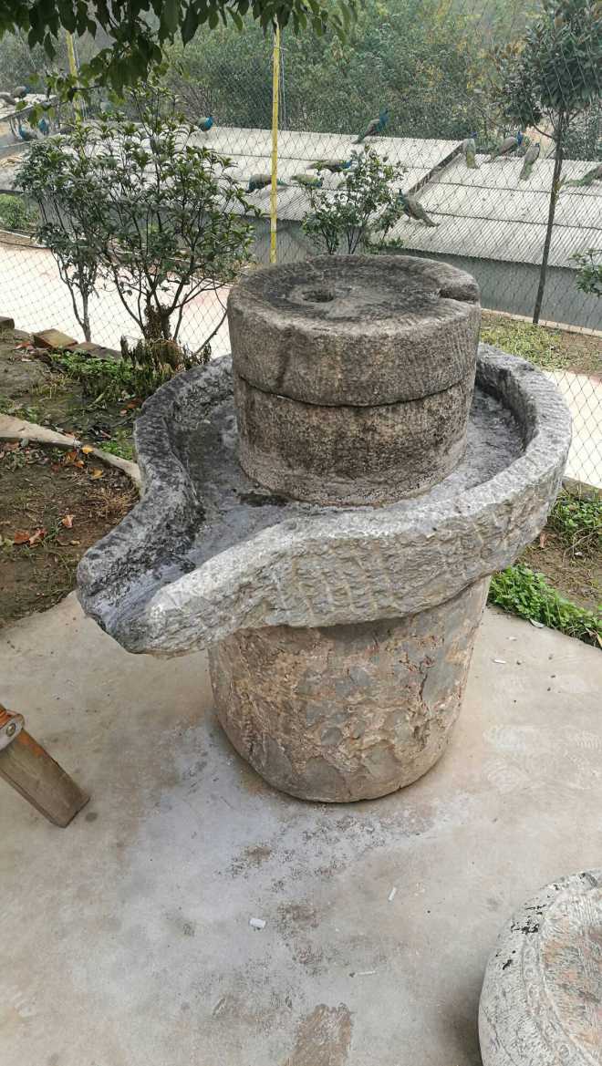 生鲜果蔬进京 闯市场见效益