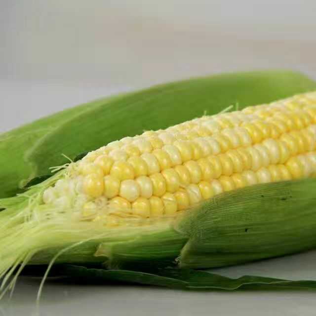 120933fmxwctmgcxdb6ncr.jpg