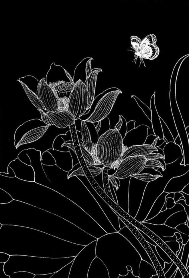 工笔荷花-黑底壁纸,个人酷爱-已附上压缩包附件