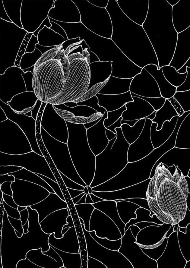 工笔荷花-黑底壁纸,个人酷爱-已附上压缩包附件