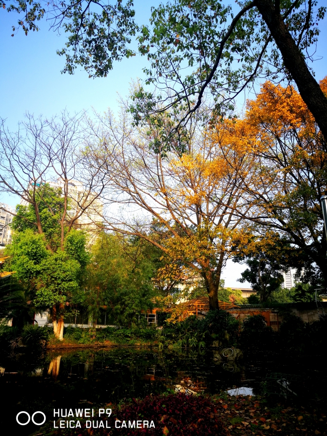 131233x3pukdbjm36oplby.jpg