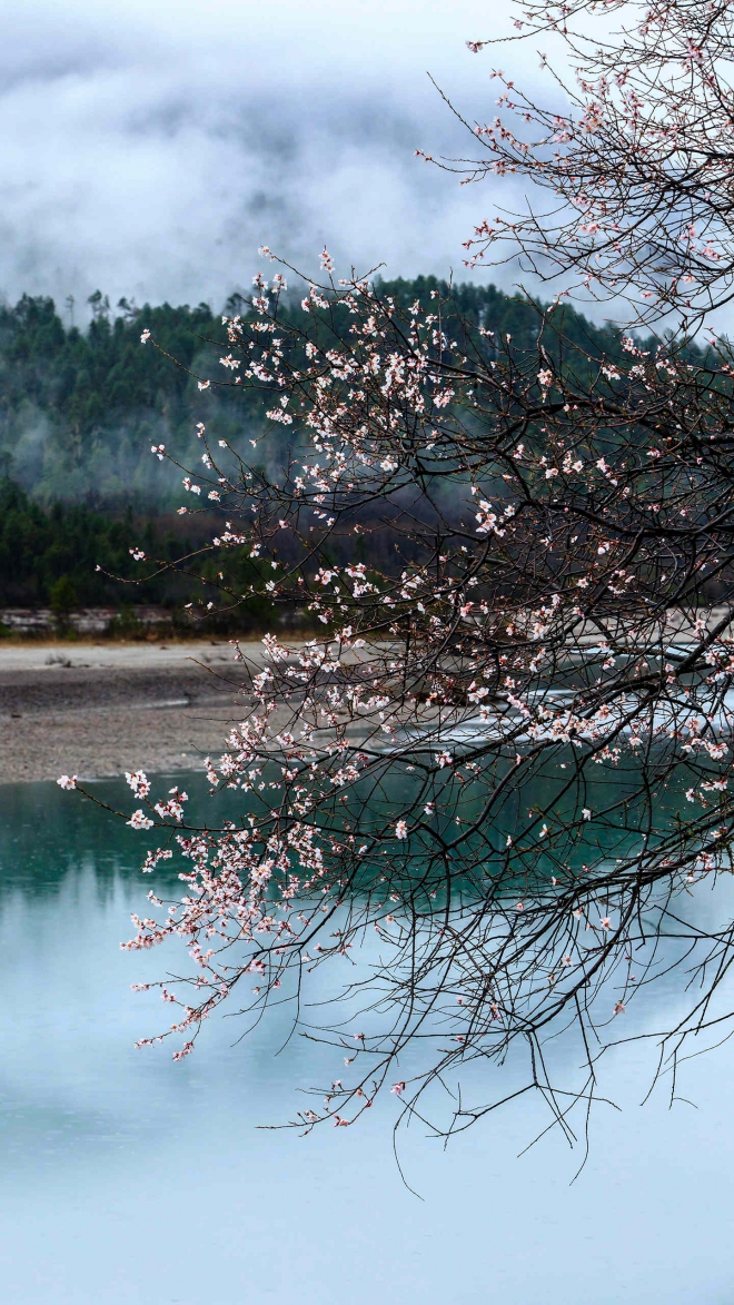 荣耀手机 69 更多机型 69 荣耀note8 69 【小摩壁纸】emui杂志