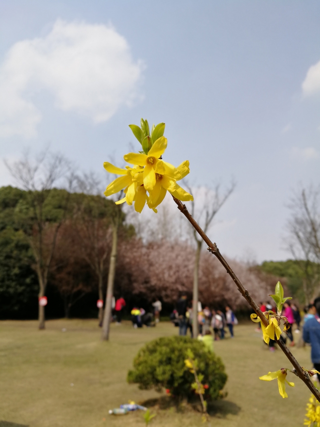 【机皇争霸赛】HonorV9 双眼看世界,更美更