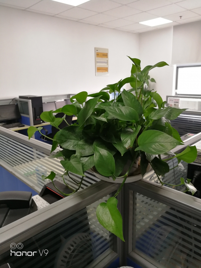 【机皇争霸赛】HonorV9 双眼看世界,更美更