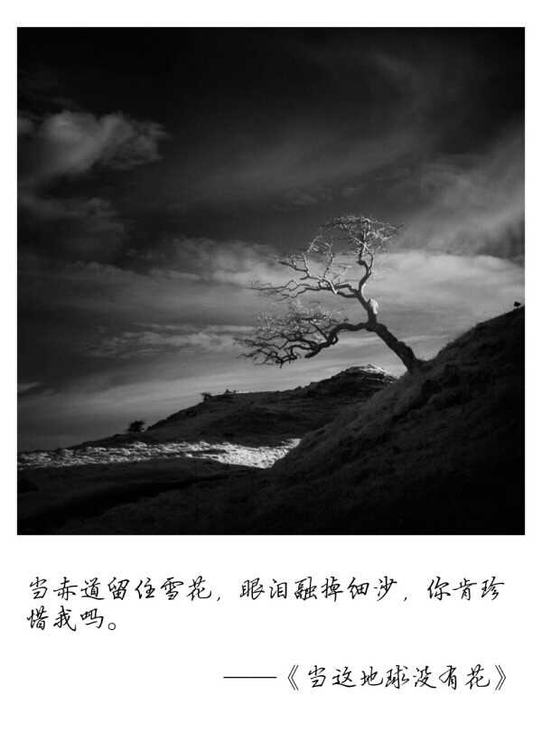 集中营 69 阅读圈 69 光年以外         每一天,接近绝望的心理