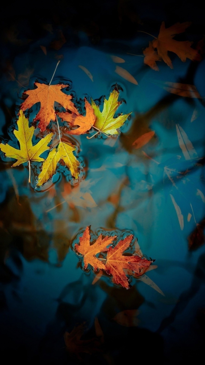 huawei p10 plus《精彩稀有高清手机壁纸(1080x1920)》20p - 华为p10