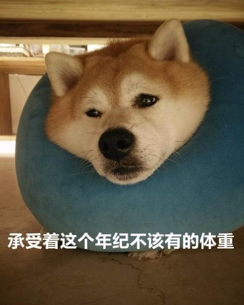 5G手机专利或再被高通垄断?国产机也许只能寄