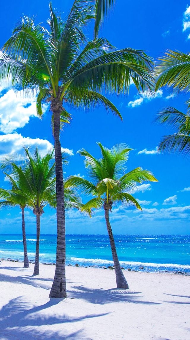 v10绝美壁纸,相当喜欢 - 荣耀v10问题反馈 花粉俱乐部