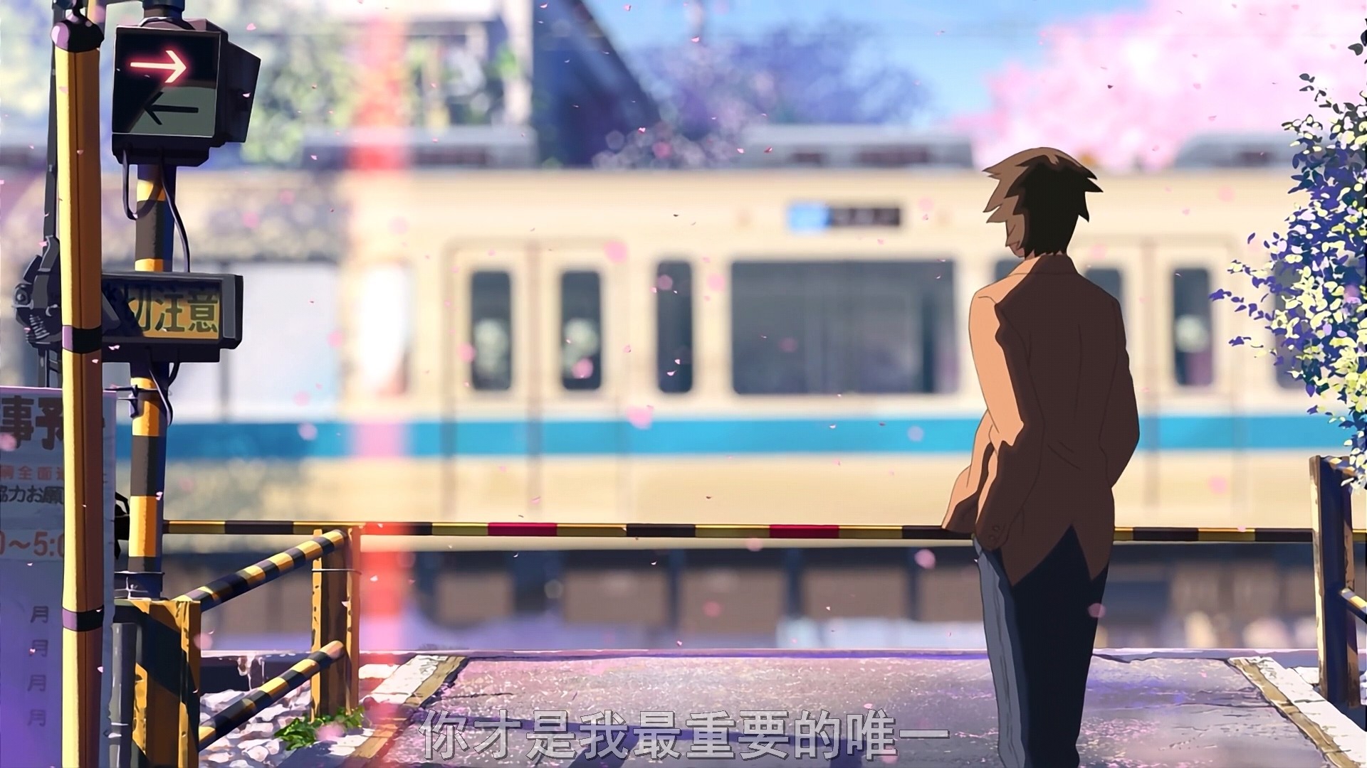 秒速五厘米 h264编码的mkv视屏