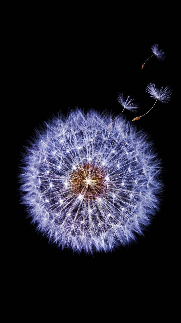 华为p20,华为maters高清壁纸