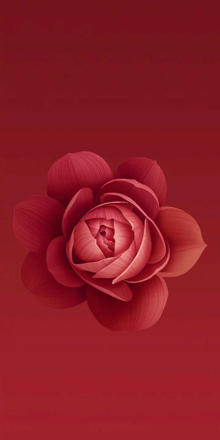 小米6x壁纸