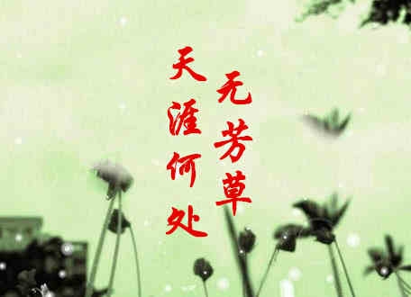 095649scwabdo9hkjyt4hl.jpg