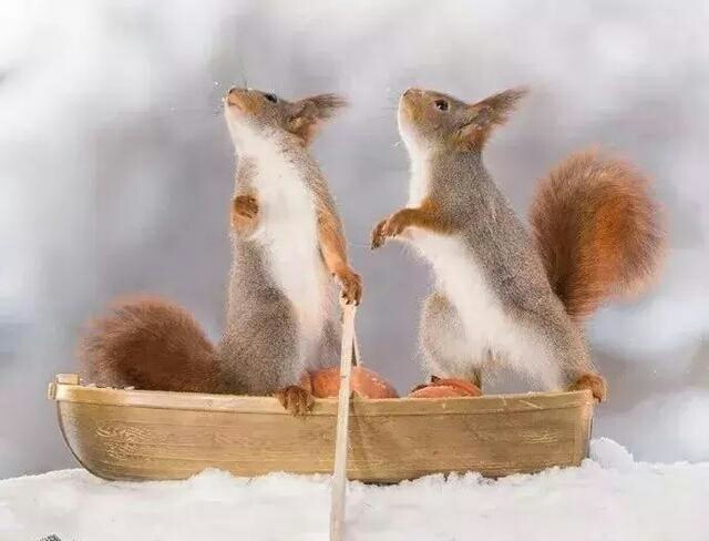 /storage/emulated/0/pictures/323a3a70