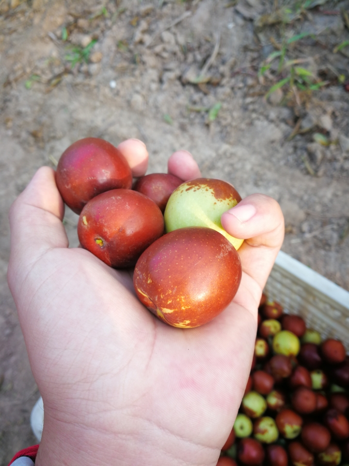 关于微信支付的指纹识别速度问题见解