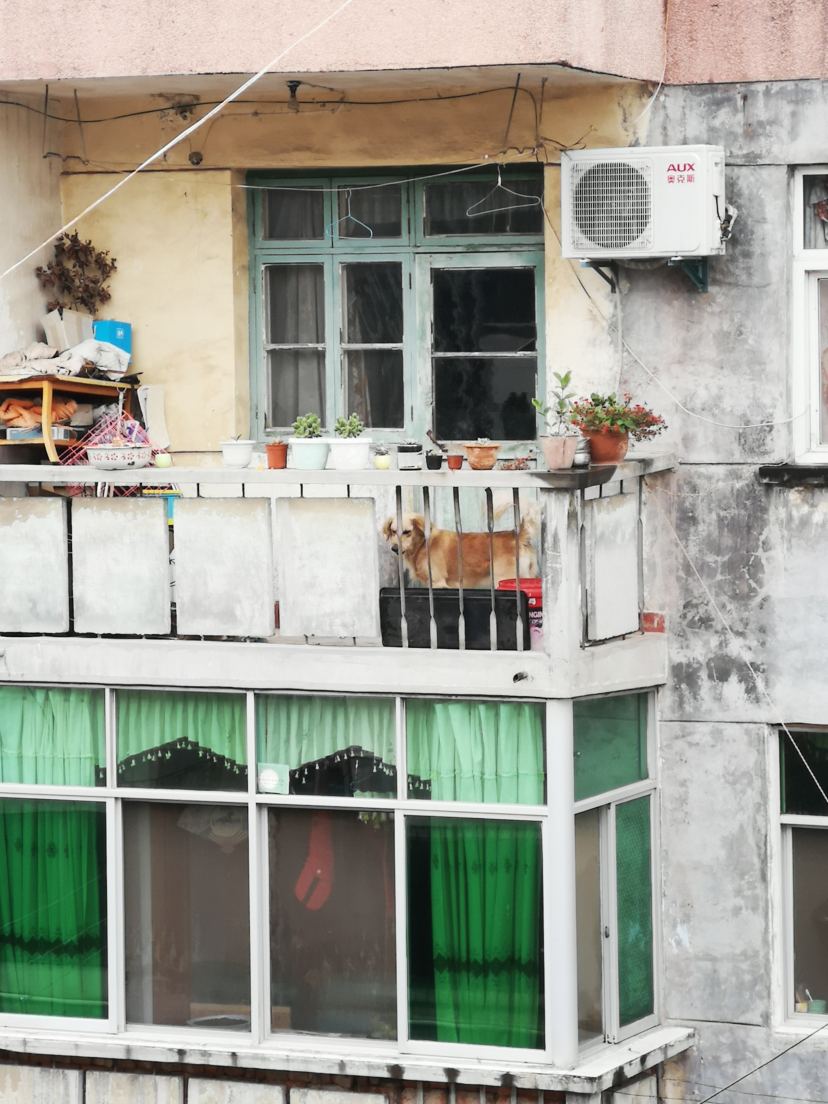 华为p20pro拍照模糊问题!你们买到是不是也是