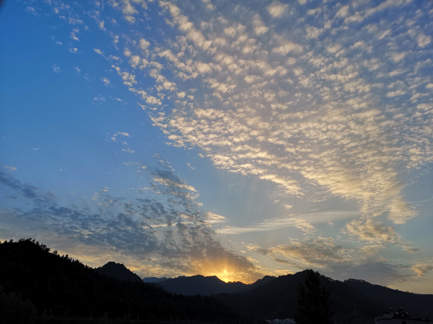 华为p20pro拍照模糊问题!你们买到是不是也是