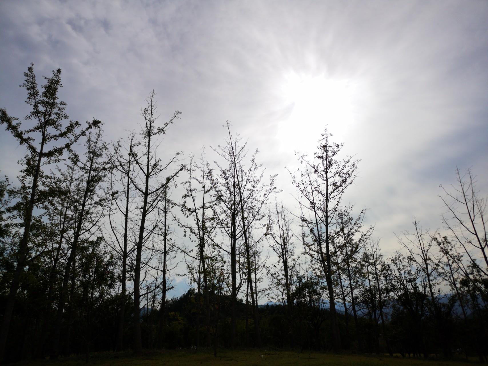 华为p20pro拍照模糊问题!你们买到是不是也是