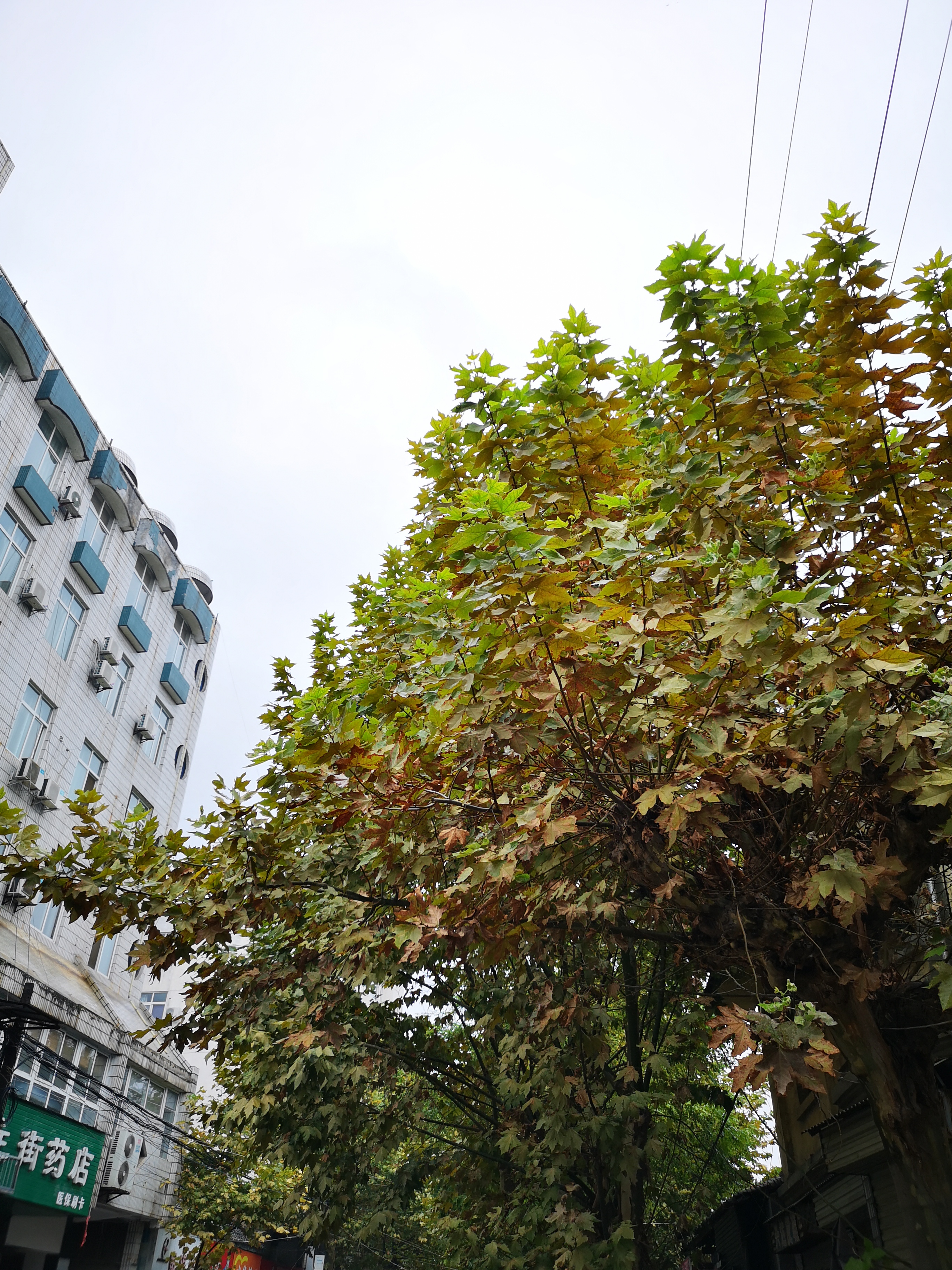 华为p20pro拍照模糊问题!你们买到是不是也是