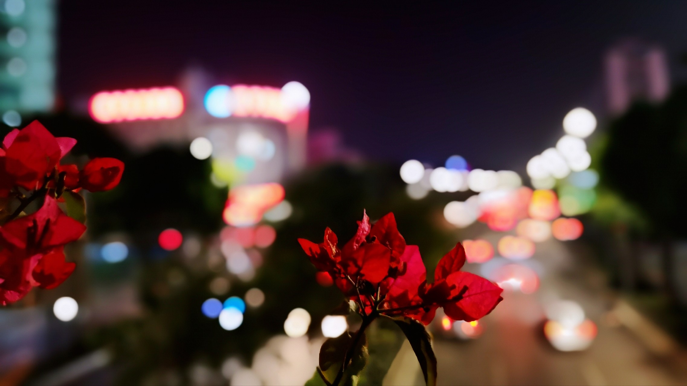 发几张p20大光圈拍的照片