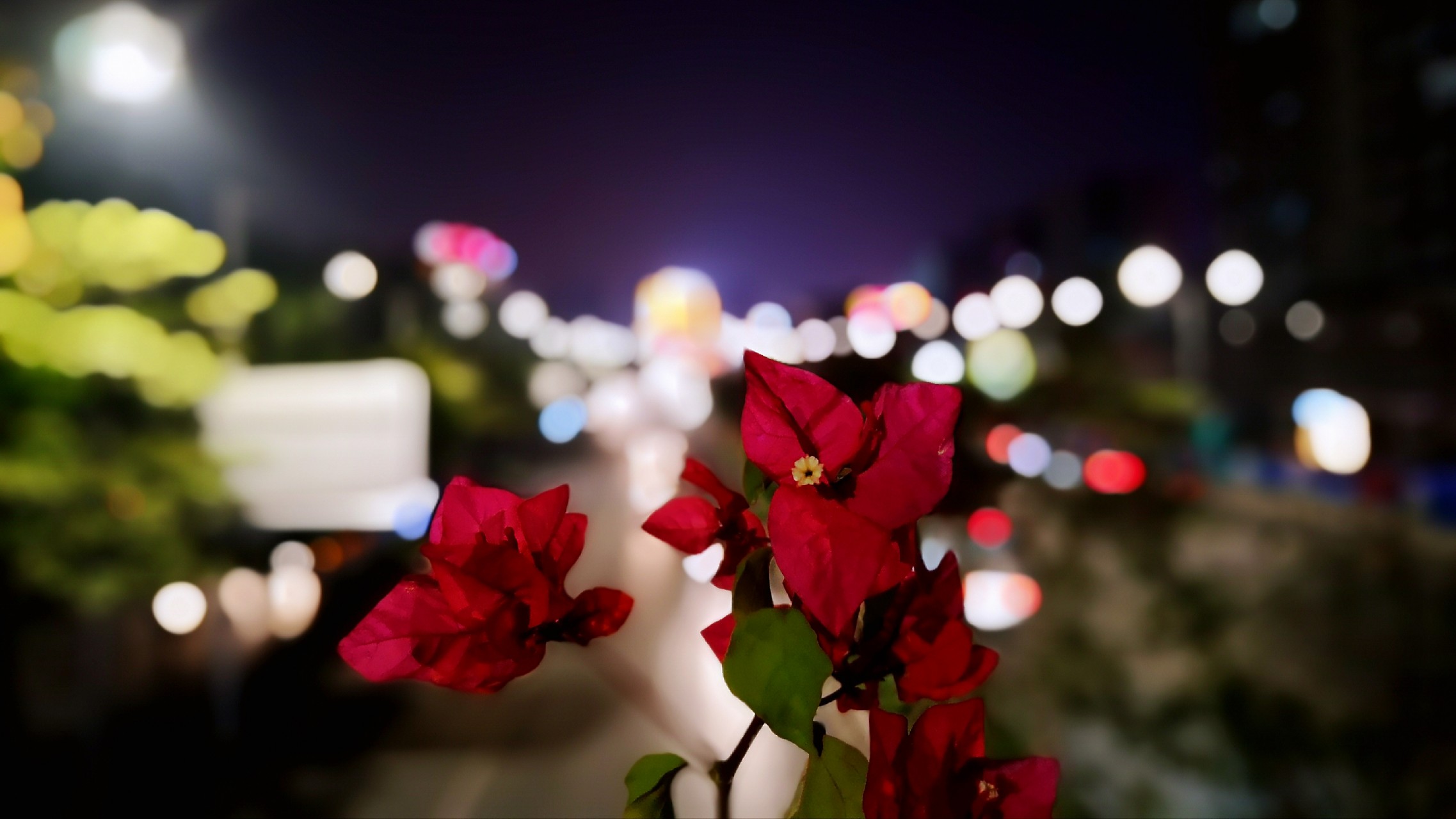 发几张p20大光圈拍的照片